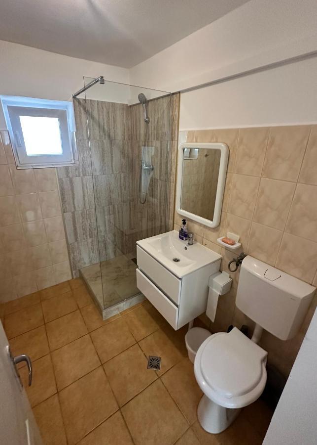 Georgiana Apartments 2 Тімішоара Екстер'єр фото