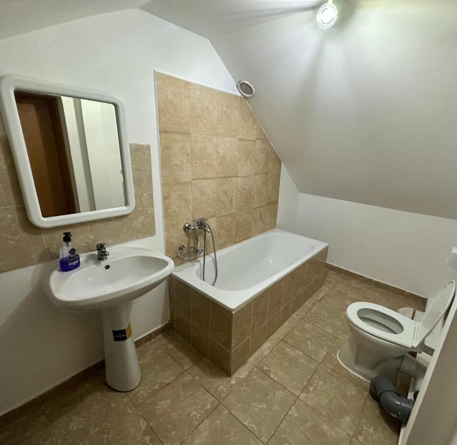 Georgiana Apartments 2 Тімішоара Екстер'єр фото