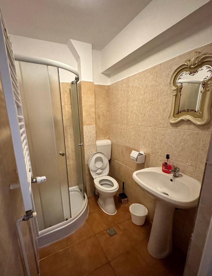 Georgiana Apartments 2 Тімішоара Екстер'єр фото