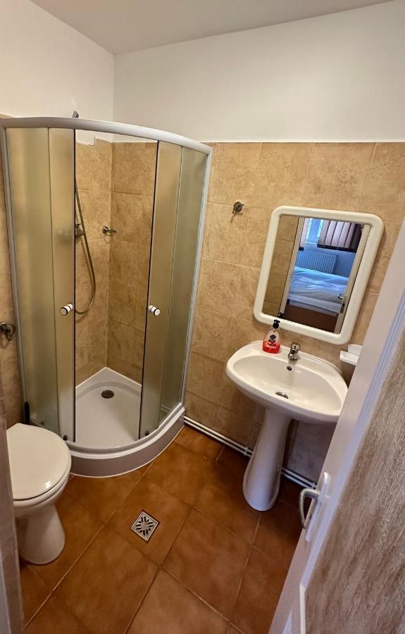 Georgiana Apartments 2 Тімішоара Екстер'єр фото