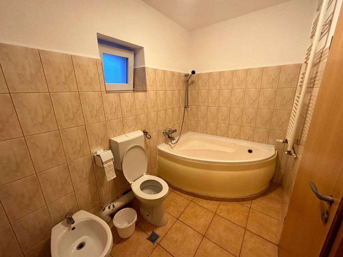 Georgiana Apartments 2 Тімішоара Екстер'єр фото