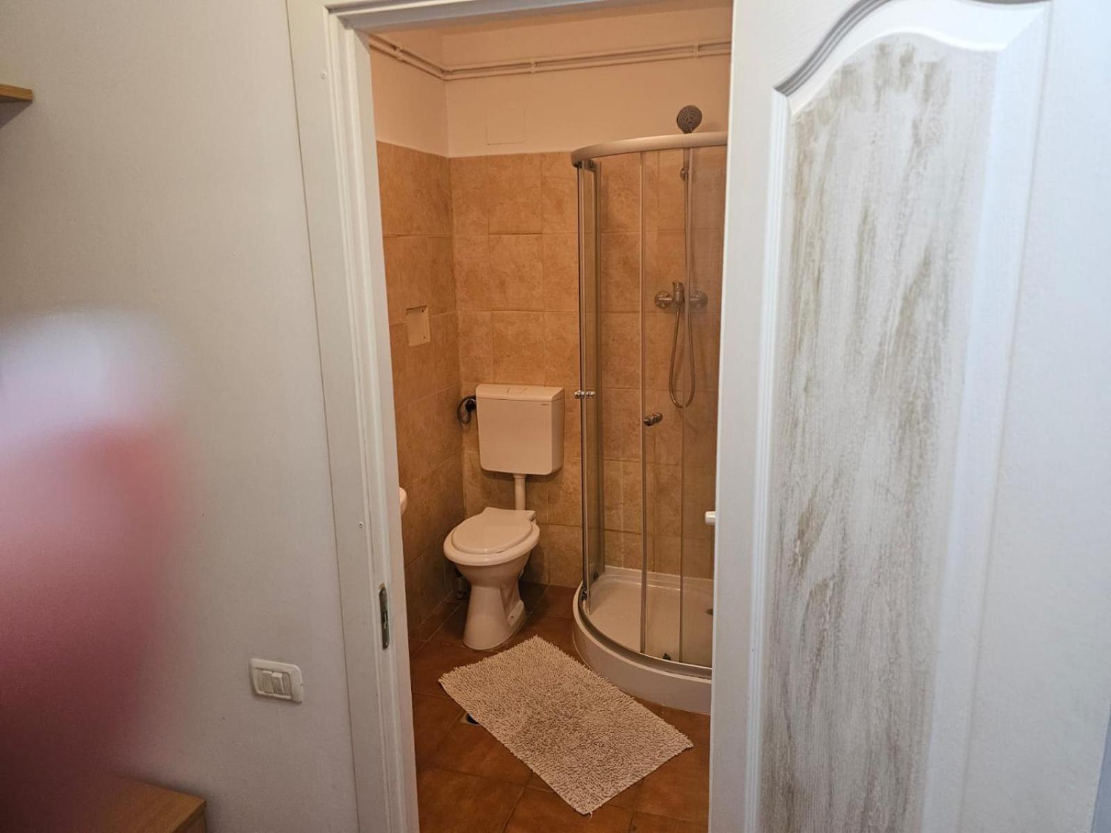 Georgiana Apartments 2 Тімішоара Екстер'єр фото